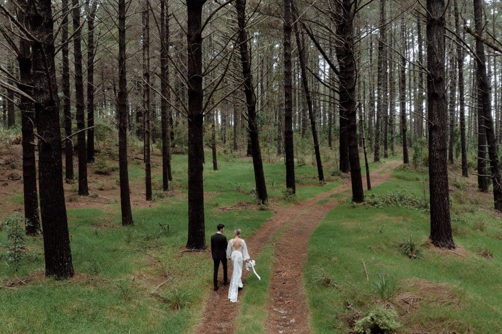 Ceremony in the pine forest